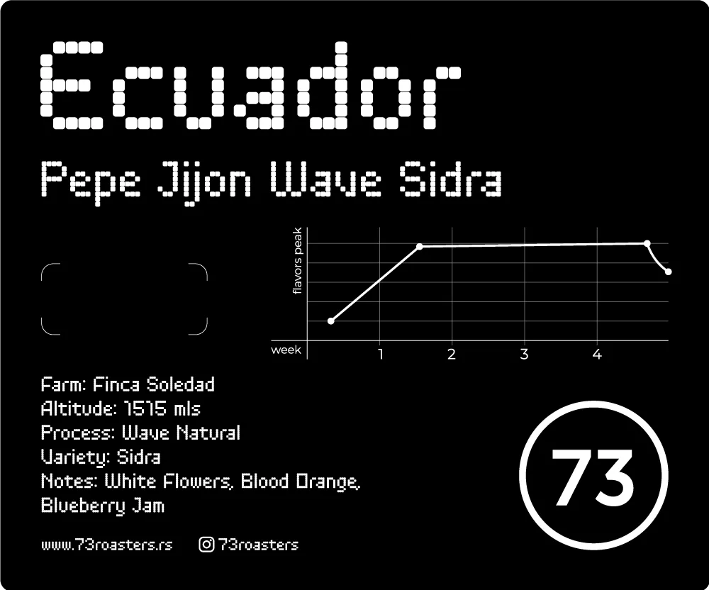 Ecuador Wave Sidra Pepe Jijon