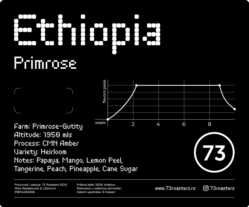 Ethiopia Primrose